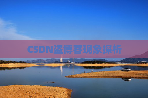 CSDN盗博客现象探析